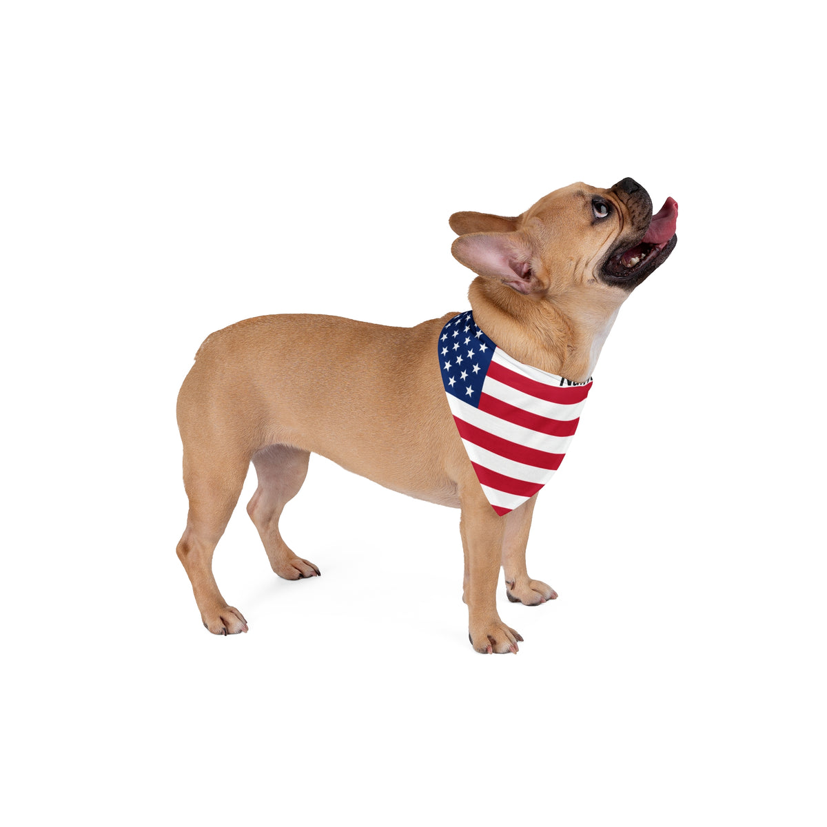 Personalised Bandana – Stars & Stripes