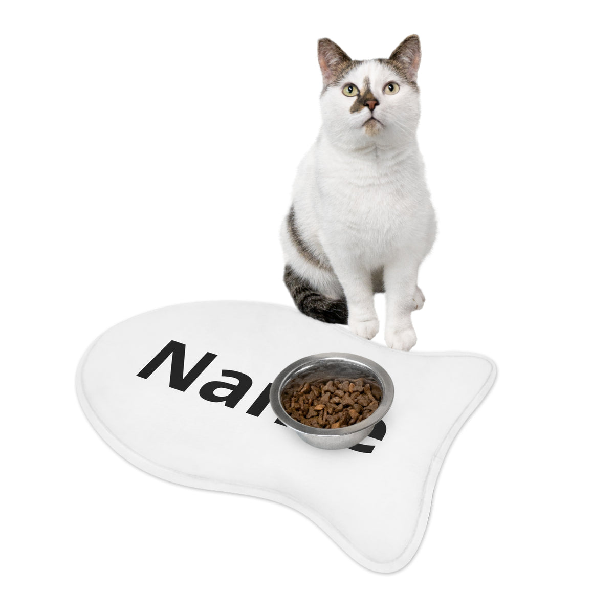 Personalised Feeding Mat