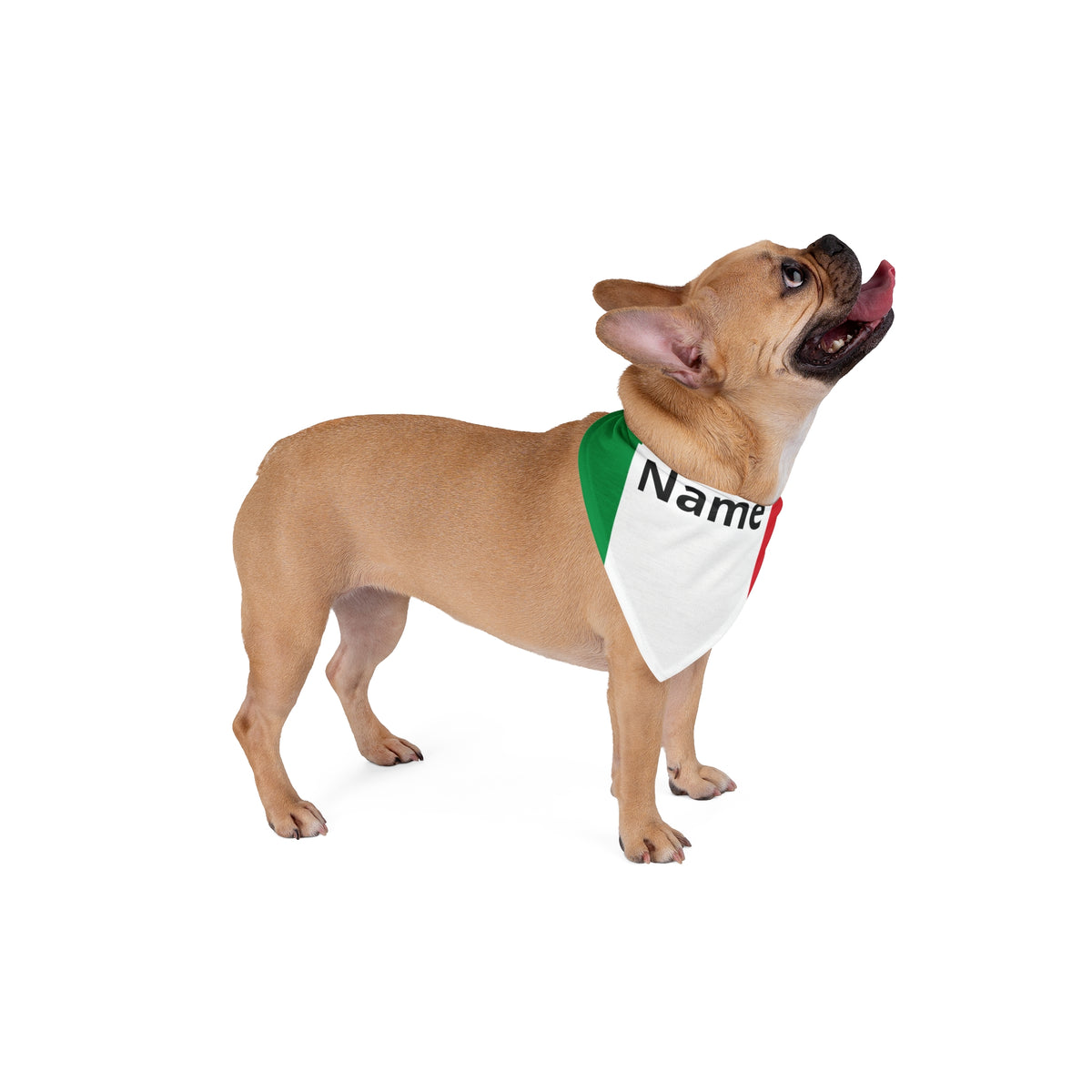 Personalised Bandana – Italia