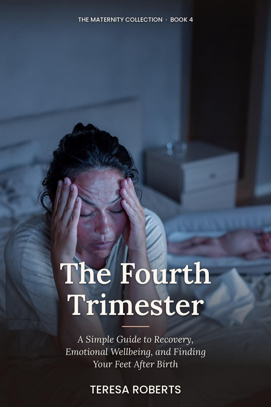 The Fourth Trimester – book cover