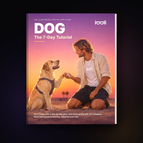 DOG: The 7-Day Tutorial – English
