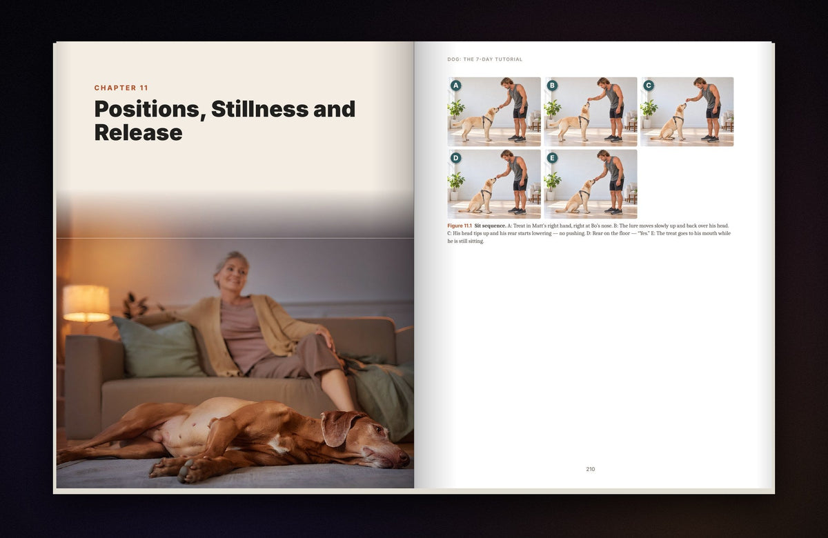 Inside the book: lessons
